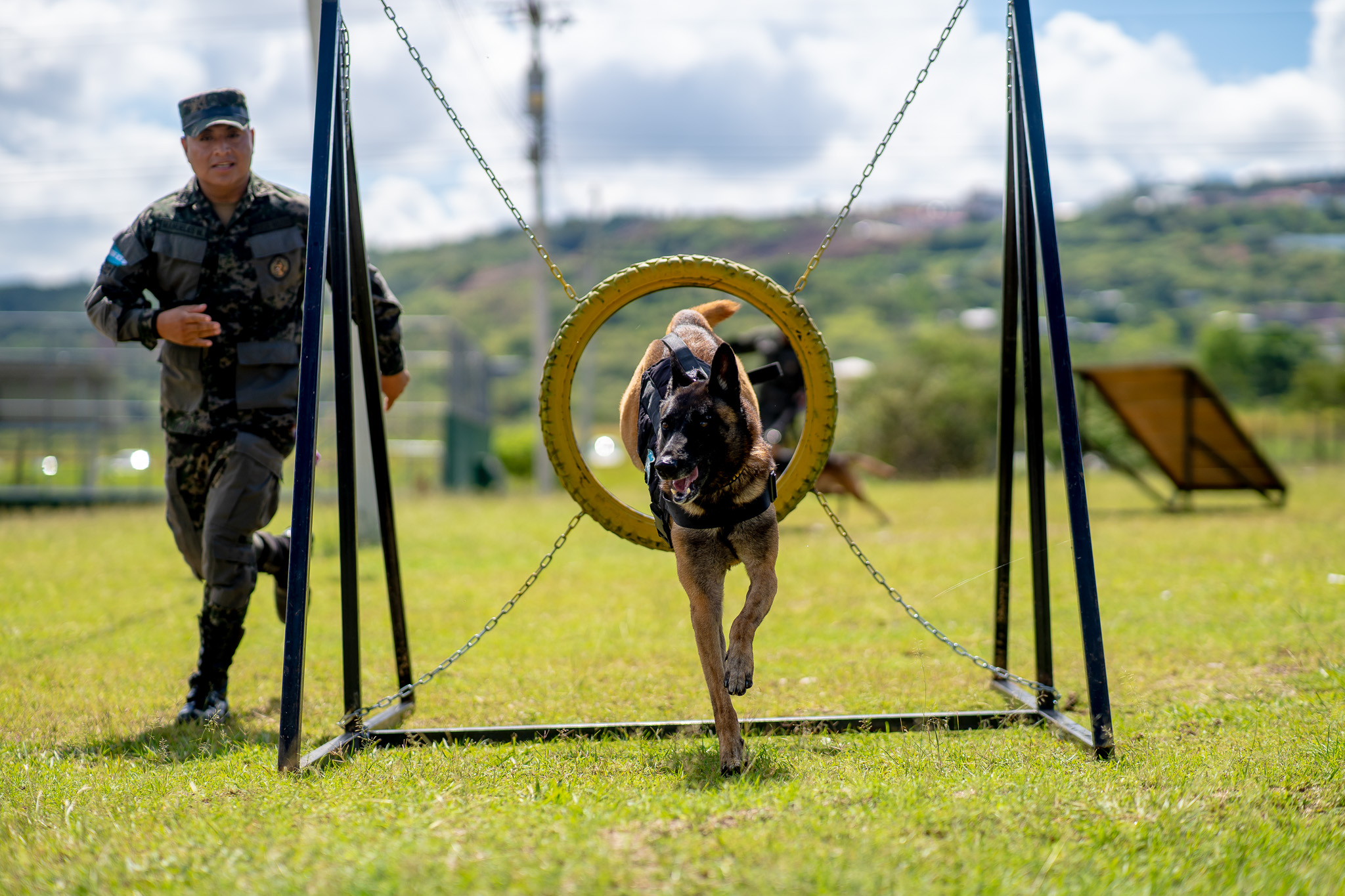 Primer Batallón Canino de la PMOP