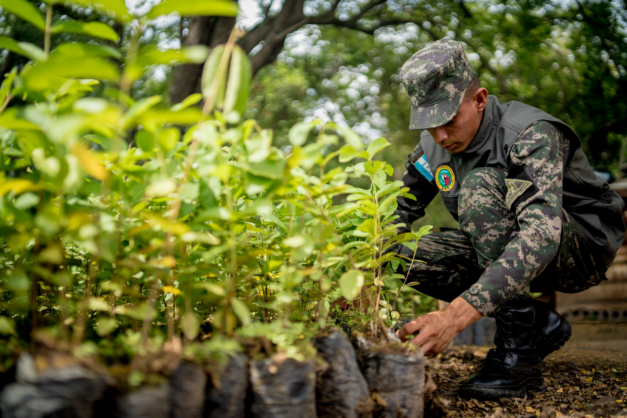 Batallones de Protección Ambiental