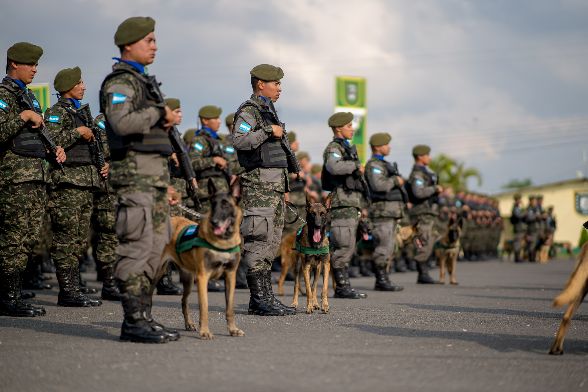 Primer Batallón Canino de la PMOP